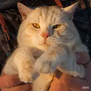 Покровский - 88