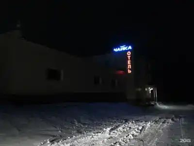 Чайка - 113