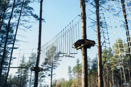 Раздолье - 52