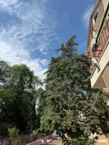Пансионат Энергетик - 23