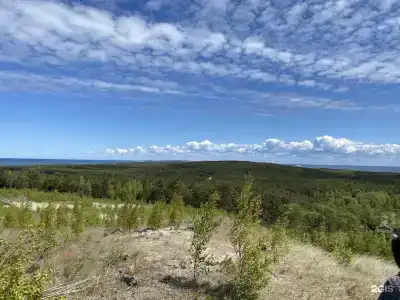 Дзен - 26