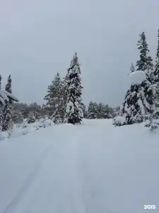 Русский - 5