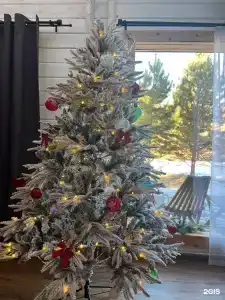 Валли Санни - 40