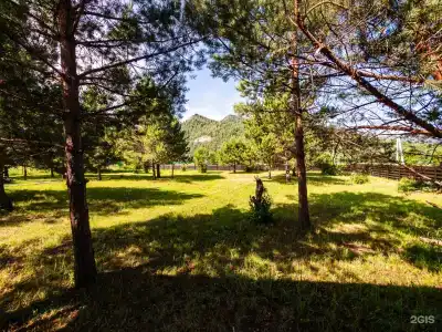 Алтай Мулине - 2