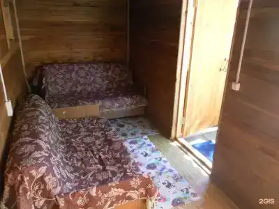 Василёк - 81