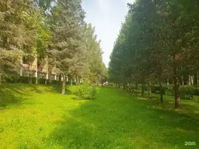 Углич - 109