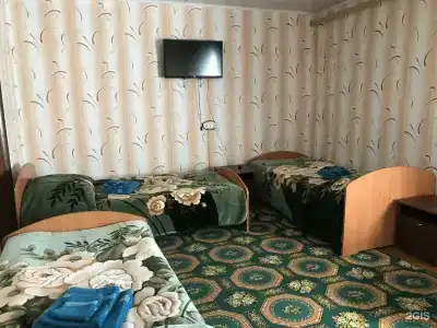 Феникс - 11