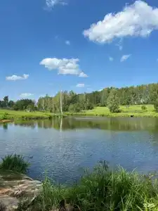 Лес & Озеро - 9