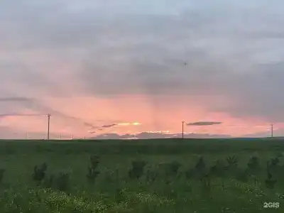 Золотые Пески Bele Vip - 40