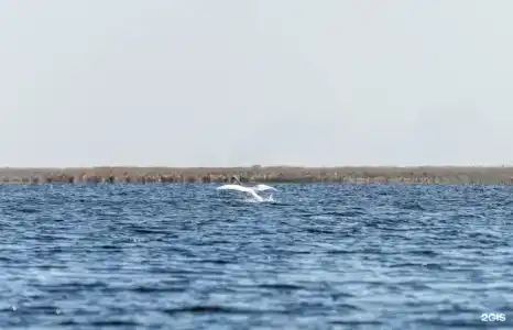 Каспийские раскаты - 3