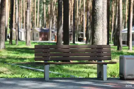 ДухЛес - 23