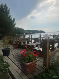 Поляна - 56