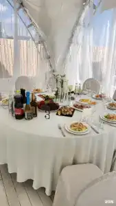 Хвоя - 101