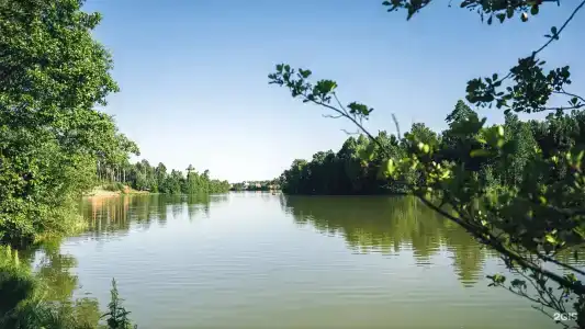 Усадьба Гребнево - 25