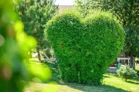 Шесть Озёр - 34