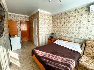 Киви и Цитрус - 3