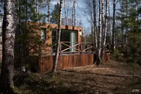 Снежные гуси - 25