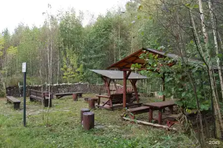 Звёздный - 54