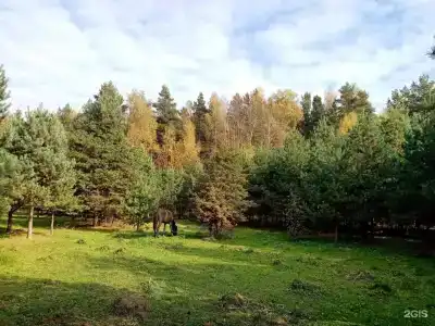 Домики в лесу - 34