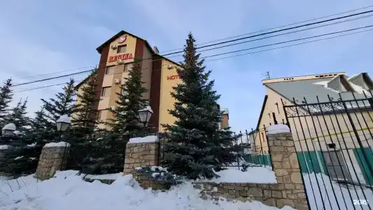 Регина - 11