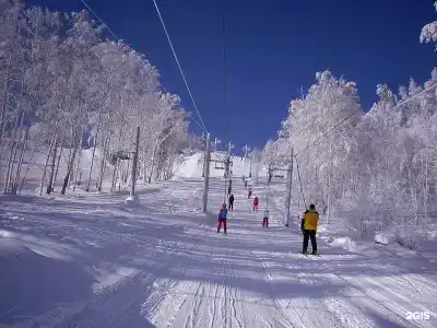 Эдельвейс - 40