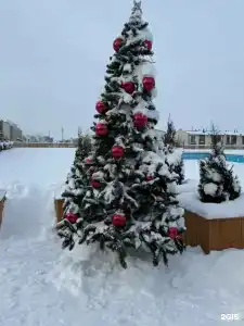 Романово - 20