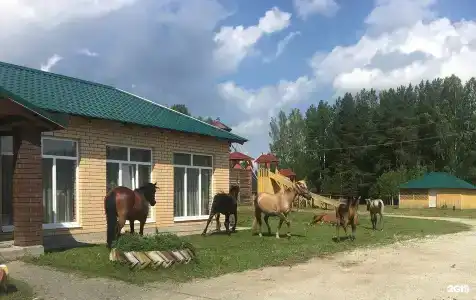 Новая Ельня - Мельница - 54