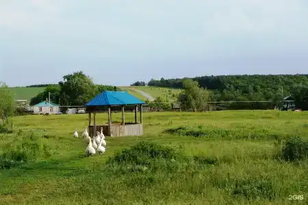 Альфа - 31