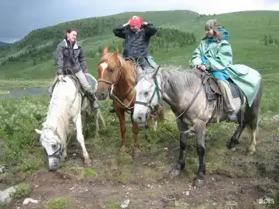 Амаду - 114