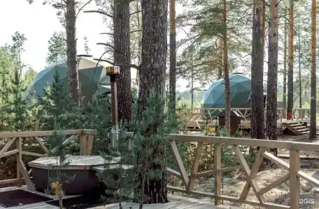 Хвойный берег - 21