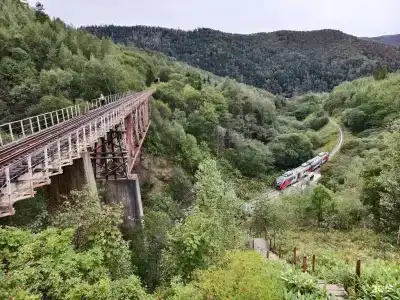 Юнона море - 15