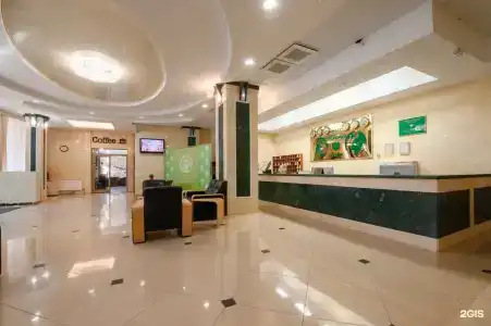 Платан Южный - 6