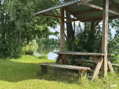 Золотая Рыбка - 2