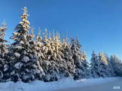 Снежный - 6