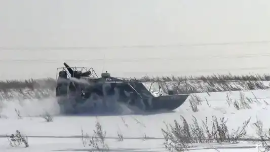 Зюйд-вест - 125