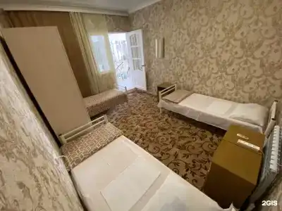 Виват - 4