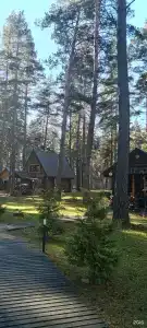Таёжный yгол - 28