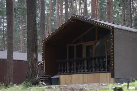 ДухЛес - 40