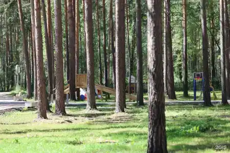 ДухЛес - 70