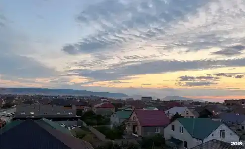 Кит - 19