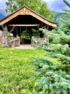 Березка - 21
