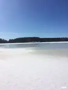 Снегурия - 120