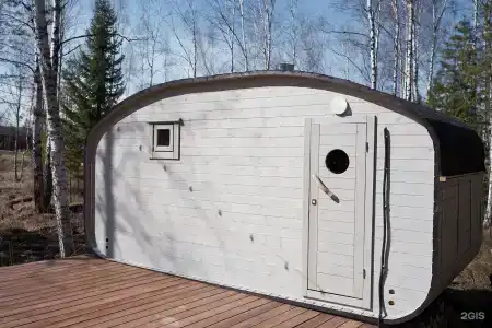 Снежные гуси - 38