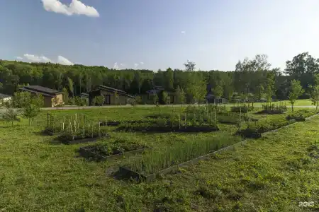 Заокские поля - 90