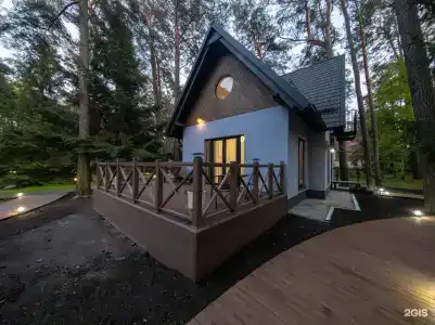 Кедр - 24