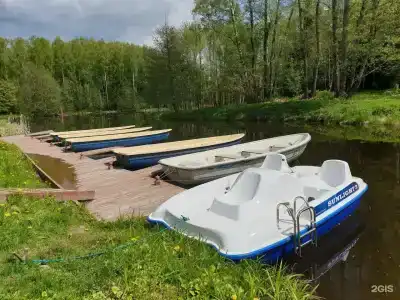 Сафари Парк - 22