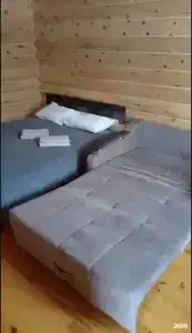 Кедр - 20
