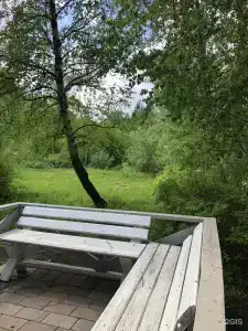 Базаиха River - 5