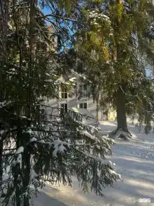 Vyritsa Village - 73