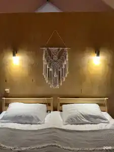 Эдельвейс глэмп - 55